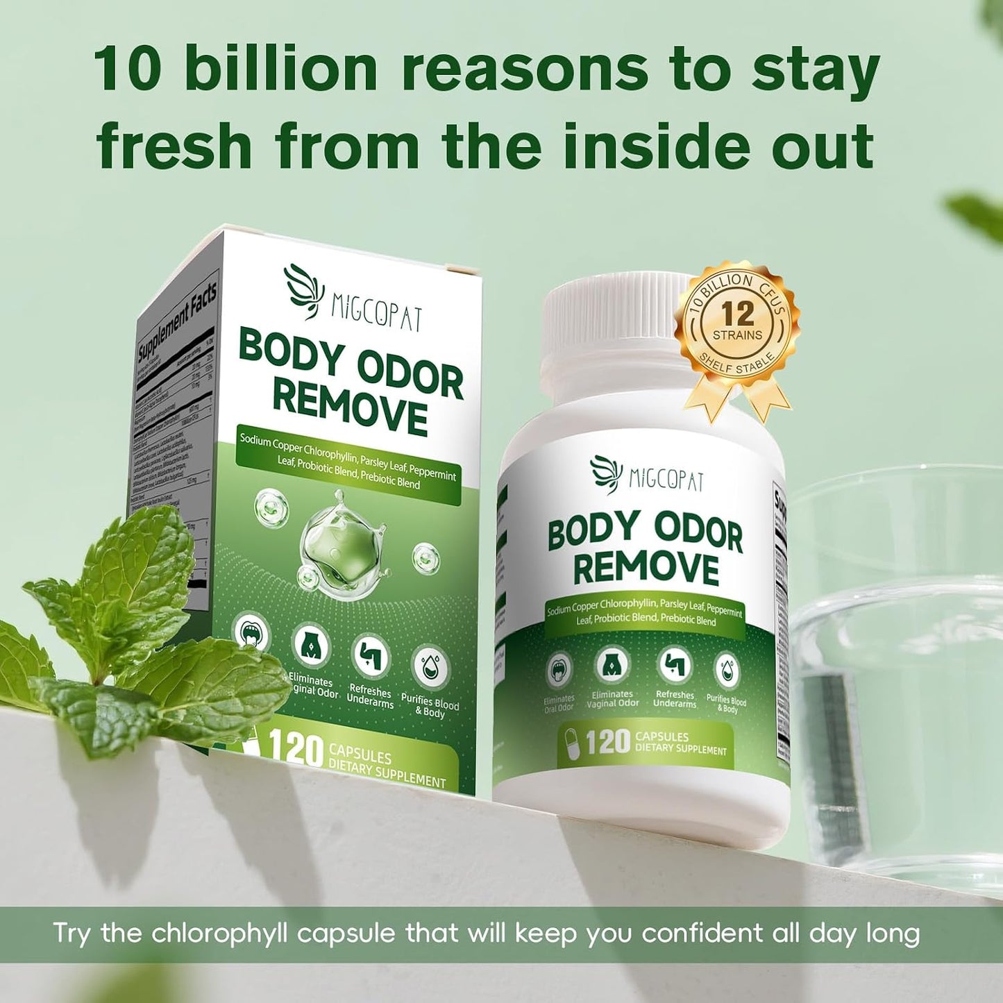 Chlorophyll Body Deodorizing Supplement, Chlorophyll Capsules with Parsley & Peppermint, Probiotic, Green Tea, Jerusalem Artichoke, Prebiotic, Supports Fresh Breath & Whole-Body Freshness, 120 Caps