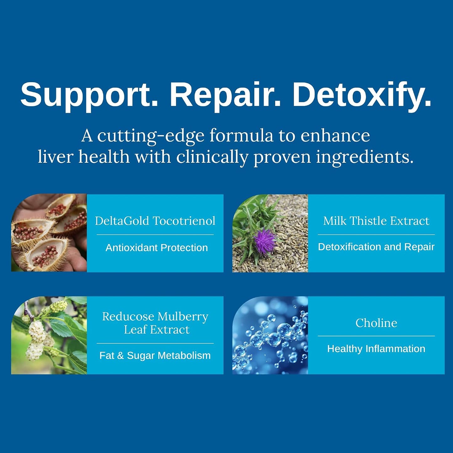 Xtendlife Total Liver Care for Blood Sugar, Fat Management & Detoxification - Science-Backed Liver Care with Milk Thistle & Tocotrienol - 30 Day Supply