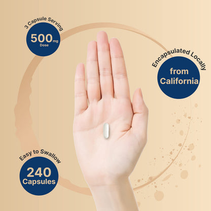 Magnesium Citrate 500mg, 240 Capsules (Citrato de Magnesio) | High Purity Elemental