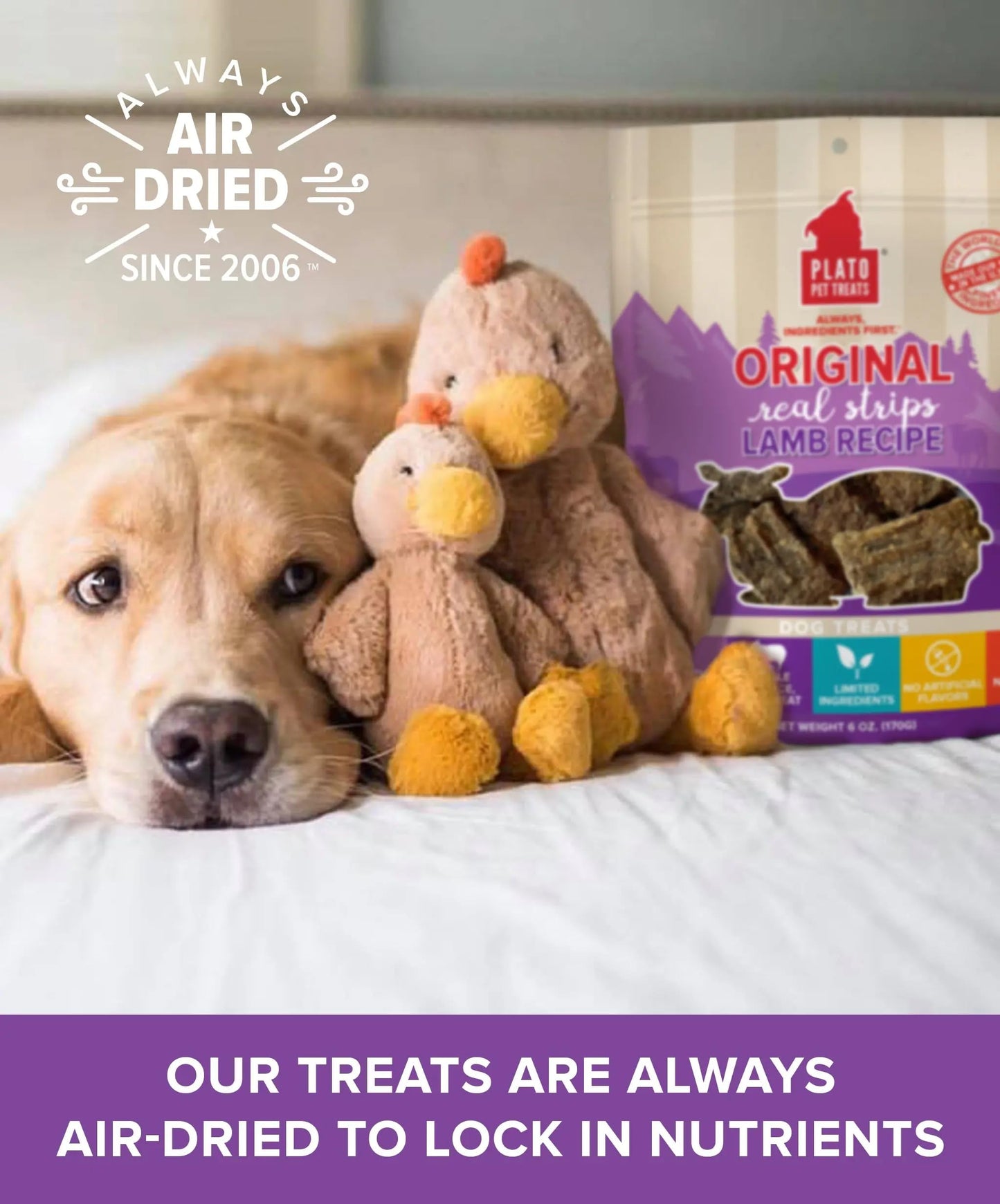 Plato Pet Treats Real Strips - Air-Dried Meat Bars for Dogs - Delicious, Limited Ingredient Dog Treats - Grain Free - Original Real Strips Turkey & Pumpkin 18oz - 2 Pack