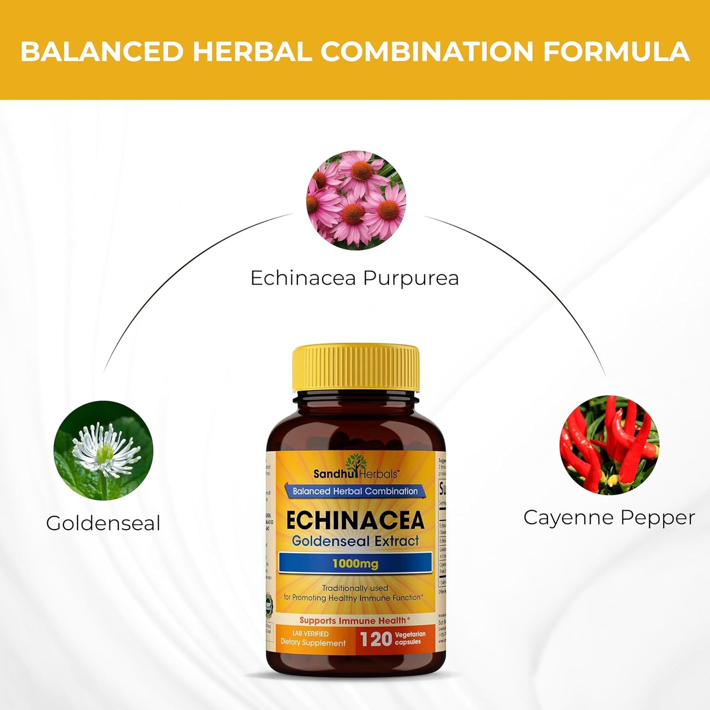 Echinacea Goldenseal 1000 Mg 120 Capsules | Immune System Support Respiratory Response Inflammatory Response Supplement