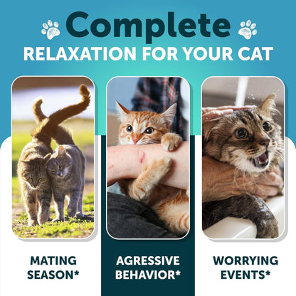 L-Lysine for Cats - Lysine Powder Supplement - 900mg/serving - Immune Support for Cats & Kittens - Sneezing, Runny Nose, Squinting, Watery Eyes, Cold, Eye Function, Respiratory Health - with Taurine
