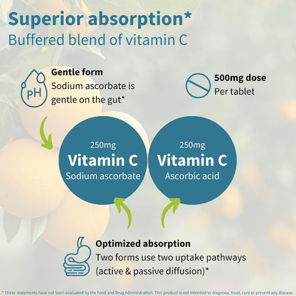 Igennus Vitamin C Chewable 250-500mg Gentle & Buffered for Kids & Adults | Optimized Absorption with Sodium Ascorbate & Ascorbic Acid, Sugar Free Natural Orange & Lemon Flavors, 120–240 Servings