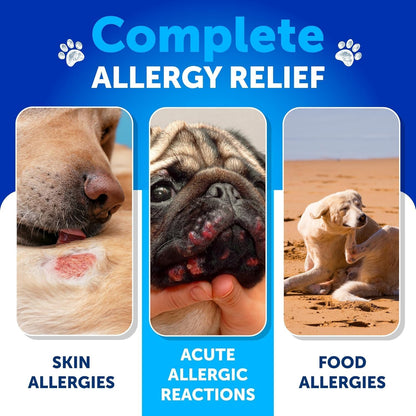 Probiotic Chews for Dogs - Supplement Bundle - Gut Health, Immunity, Yeast Balance - Glucosamine, Chondroitin, MSM