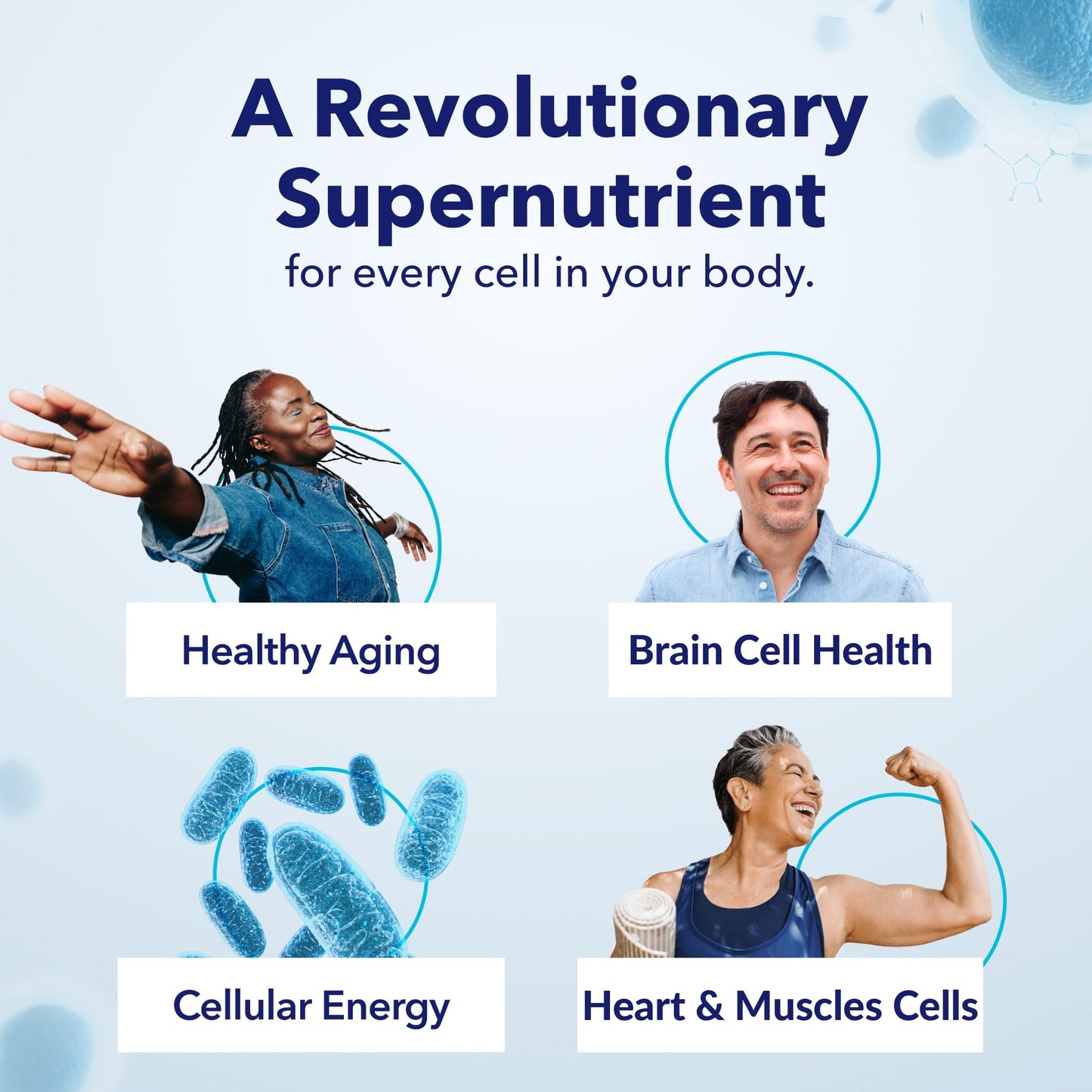 TRU NIAGEN Patented NAD+ Supplement, 60 300mg Servings | Nicotinamide Riboside (NR) Take 2 Daily | 1 Bottle