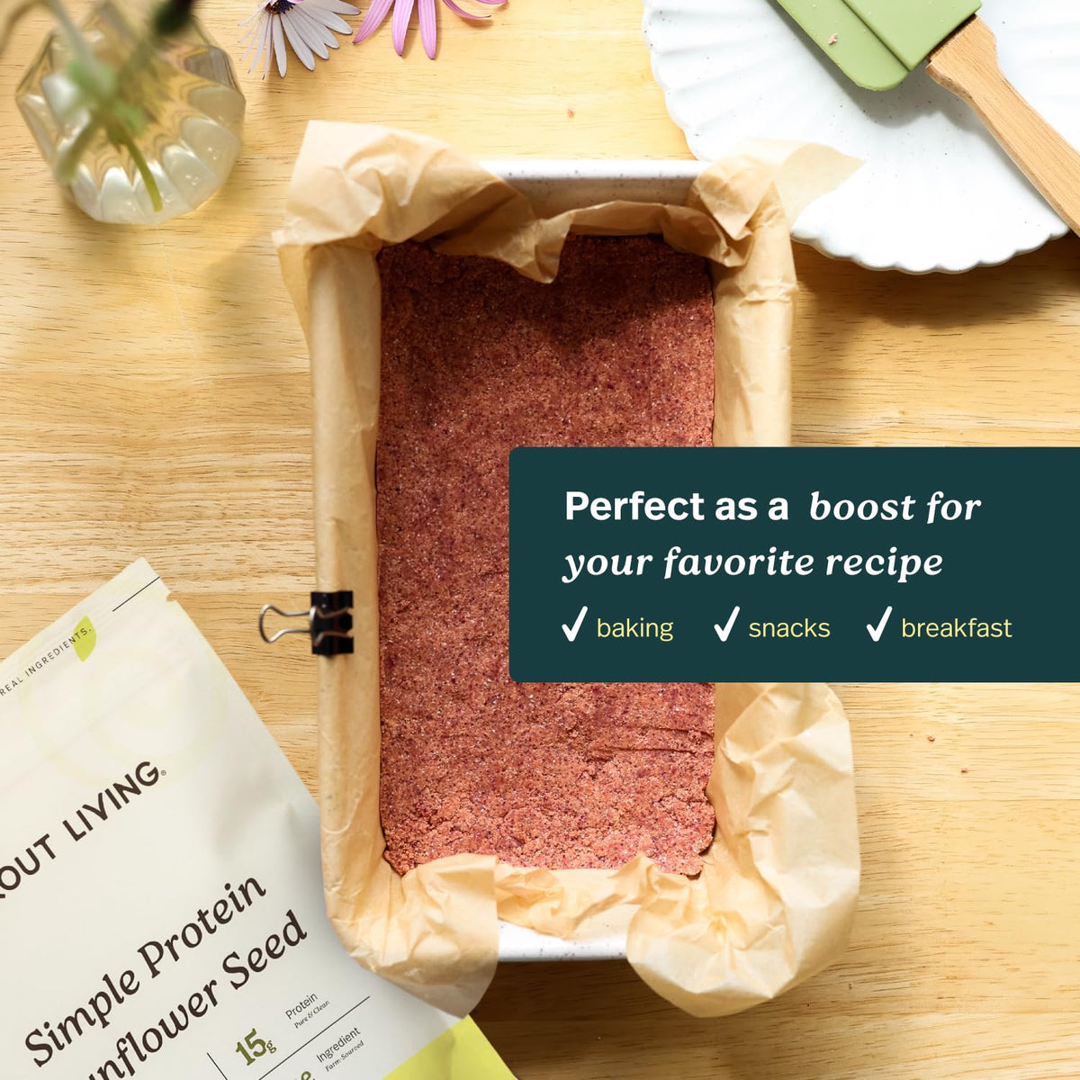 Sprout Living Organic Pumpkin Seed Protein Powder, Unflavored, 20 Grams of Plant Based Protein Powder Without Artificial Sweeteners, Non Dairy, Non-GMO, Vegan, Gluten Free (1 Pound, 14 Servings)
