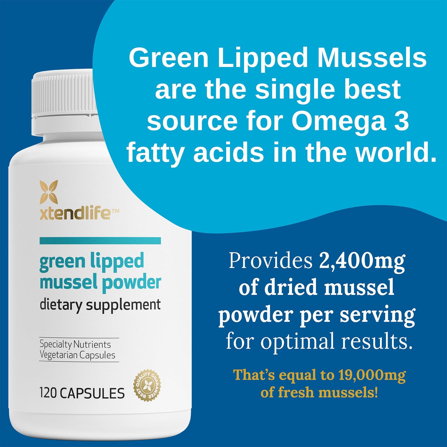 Xtend-Life | Green Lipped Mussel Powder | Extra Strength New Zealand Green Lipped Mussel 2400mg per Serving | for Joint Health & Inflammation Management | 120 Capsules (one Month Supply)