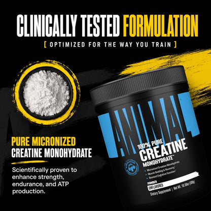Animal Creatine Monoydrate Powder for Men & Women | Unflavored 300g