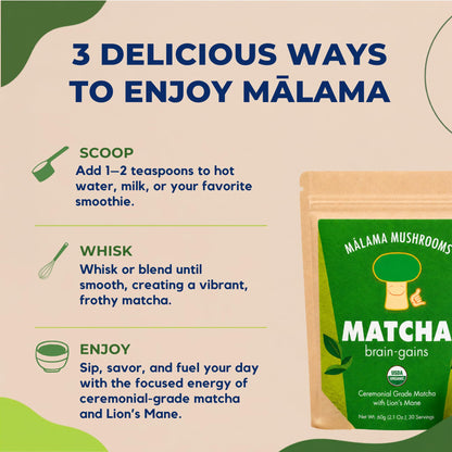 Malama Ceremonial Grade Matcha Powder - Premium Japanese Matcha Green Tea Powder with Organic Lion’s Mane Extract - Organic, Gluten-Free, Vegan, & Unsweetened (2.1 oz) for Energy & Focus