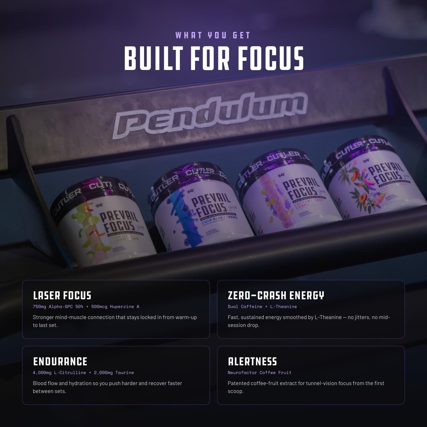 Prevail Pre Workout Powder with Nootropics: Pre-Workout Drink for Men and Women, Cutting Edge Energy and Focus Supplement with L Citrulline, Alpha GPC, L Tyrosine | Sour Rainbow Candy, 40 Scoops | Sour Rainbow Candy, 40 Scoops | With L-Citrulline, Alpha G