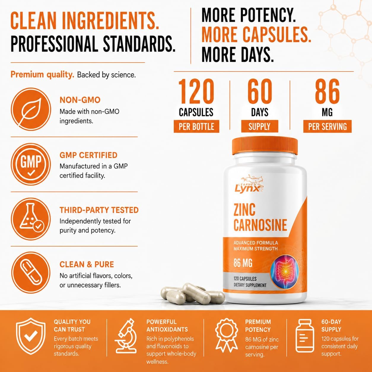 Zinc Carnosine 86 mg – Clinically Studied Zinc + L-Carnosine Complex for Gut Lining & Stomach Support | 120 Capsules (60-Day Supply) | Digestive Comfort, Mucosal Repair & Balance | Non-GMO