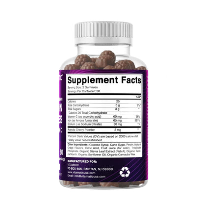 Vitamatic Iron 65 mg with Vitamin C - 60 Vegan Gummies, Made in USA | 65 mg Iron Per Serving, Natural Grape Flavor, Pectin Based, Gluten Free, Non-GMO