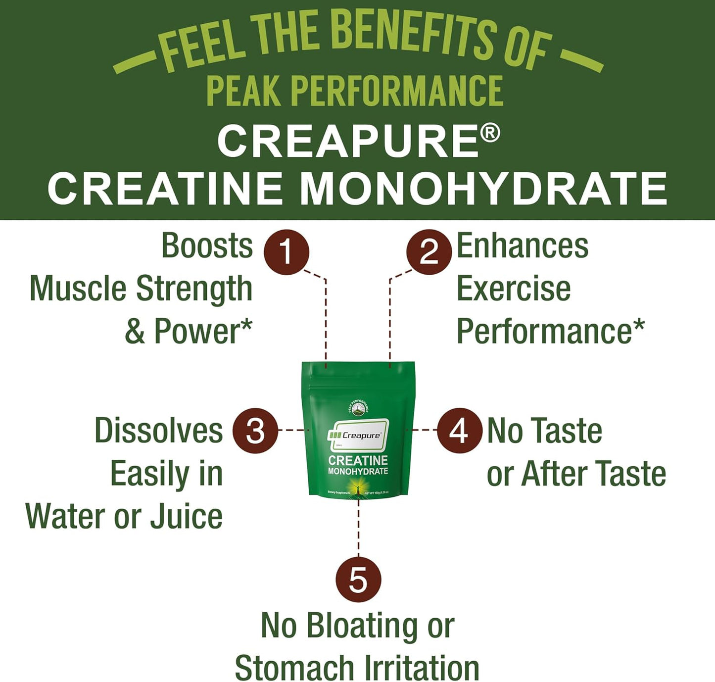 Creapure Creatine Monohydrate Powder. Ultra High Purity German Made Creatine with Nothing Else Added at All. Pure and Unflavored for Men & Women. Zero Bloating, No Sugar, Vegan Friendly Supplement