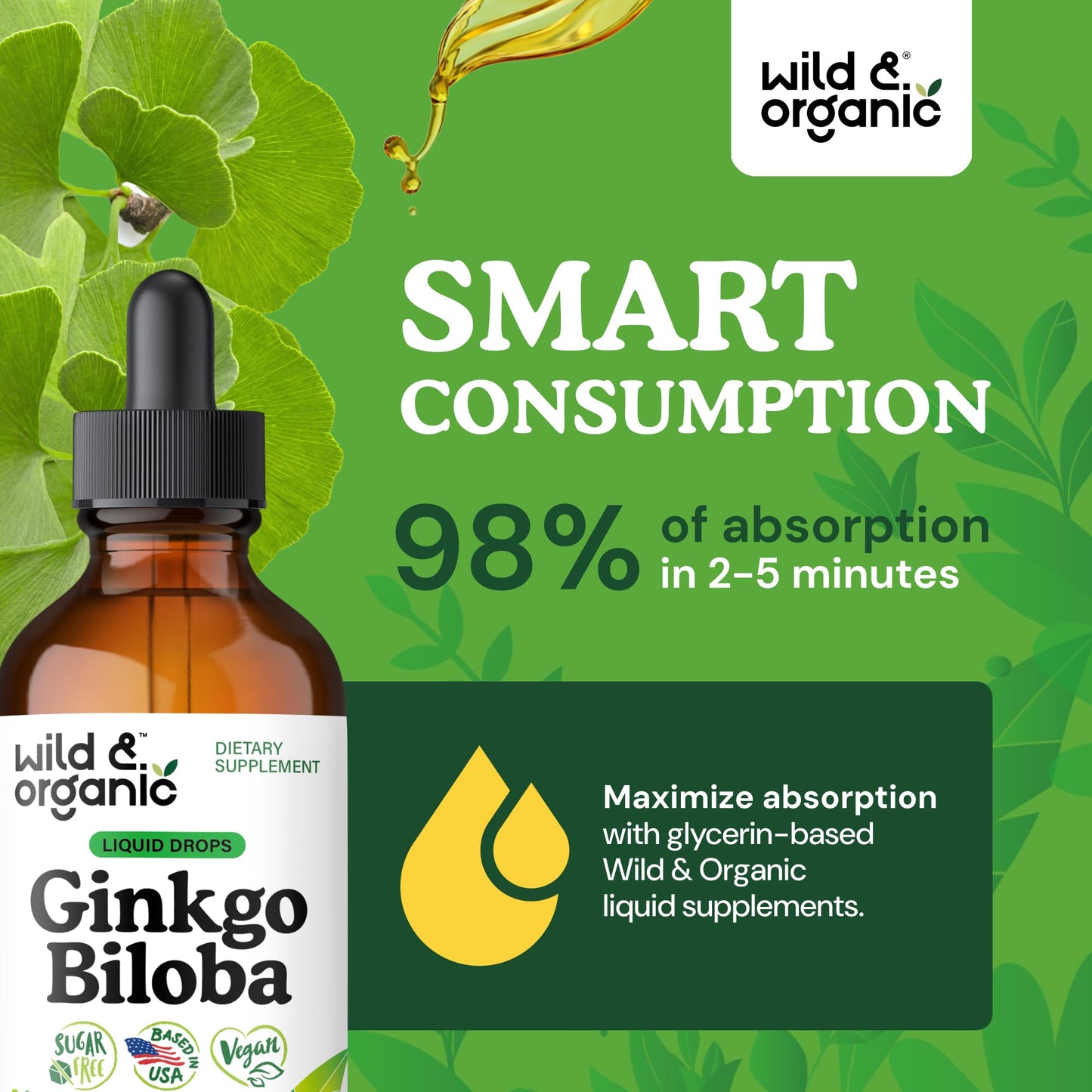 Wild & Organic Ginkgo Biloba Extract Drops - Brain & Focus Support - Liquid Ginkgo Biloba Supplements - Vegan, Sugar & Alcohol-Free Herbal Tincture - 4 fl oz