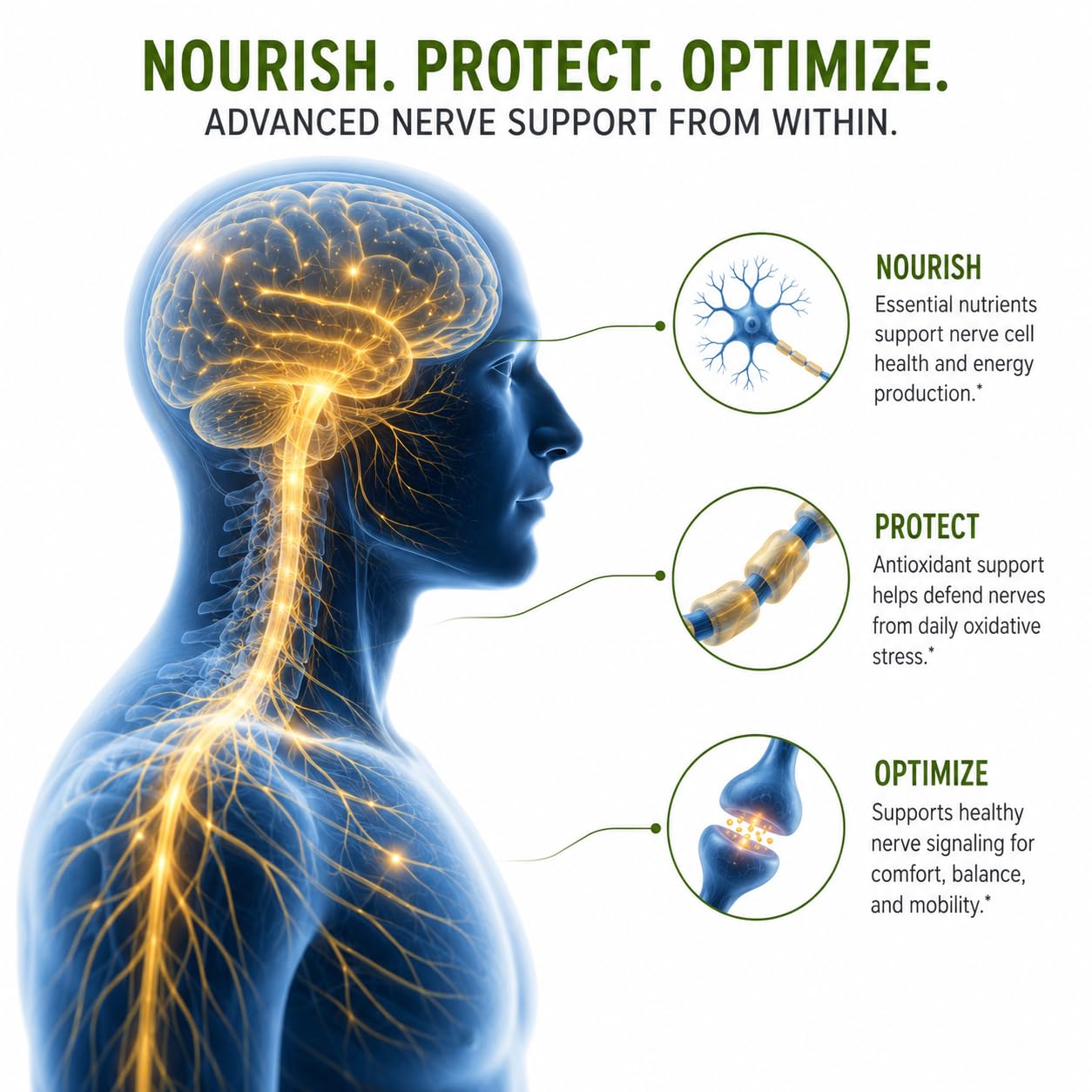 Approved Science Nervprin - Nerve Support - Benfotiamine, B12, R-Alpha-Lipoic Acid, Corydalis, Boswellia, BioPerine - 60 Capsules - Made in The USA