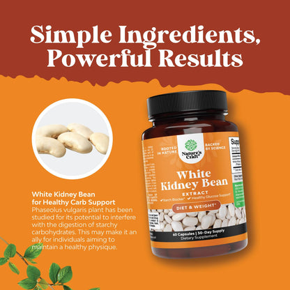 Natural White Kidney Bean Extract - White Kidney Bean Energy Booster AMPK Activator