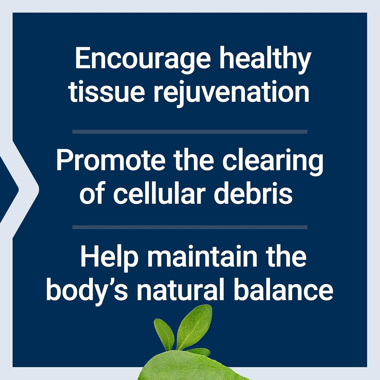 Life Extension Pro-Resolving Mediators, 18-HEPE, 17-HDHA, 14-HDHA, Supports The Body’s Natural Post-inflammatory Response, Gluten Free, Non-GMO, 30 softgels