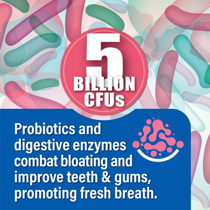 Probiotiv Chewable Probiotics for Daily Bloating w/ 5 Billion CFU – “Two-in-One Combo”