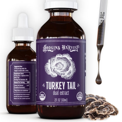 Hodgins Harvest Organic Lion's Mane Fruiting Body Extract Tincture - Mushroom Supplement for Brain Health and Mental Focus - Dual Extract Formula - Extra Concentrated - 4 fl oz Bottle