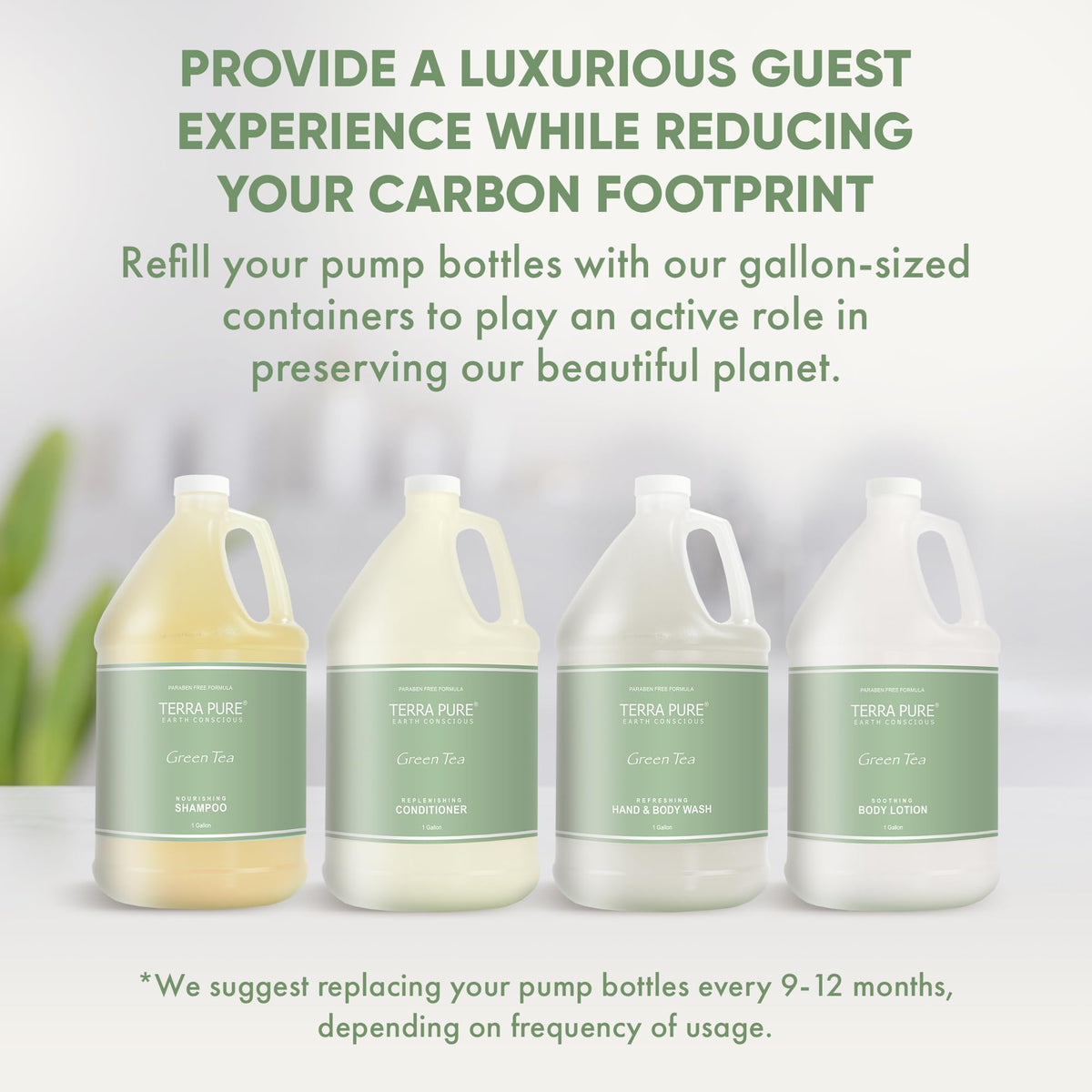 Terra Pure 10 Piece Ecobox All-In-Kit | Green Tea Soap | 3 Shampoo, 2 Conditioner, 3 Body
