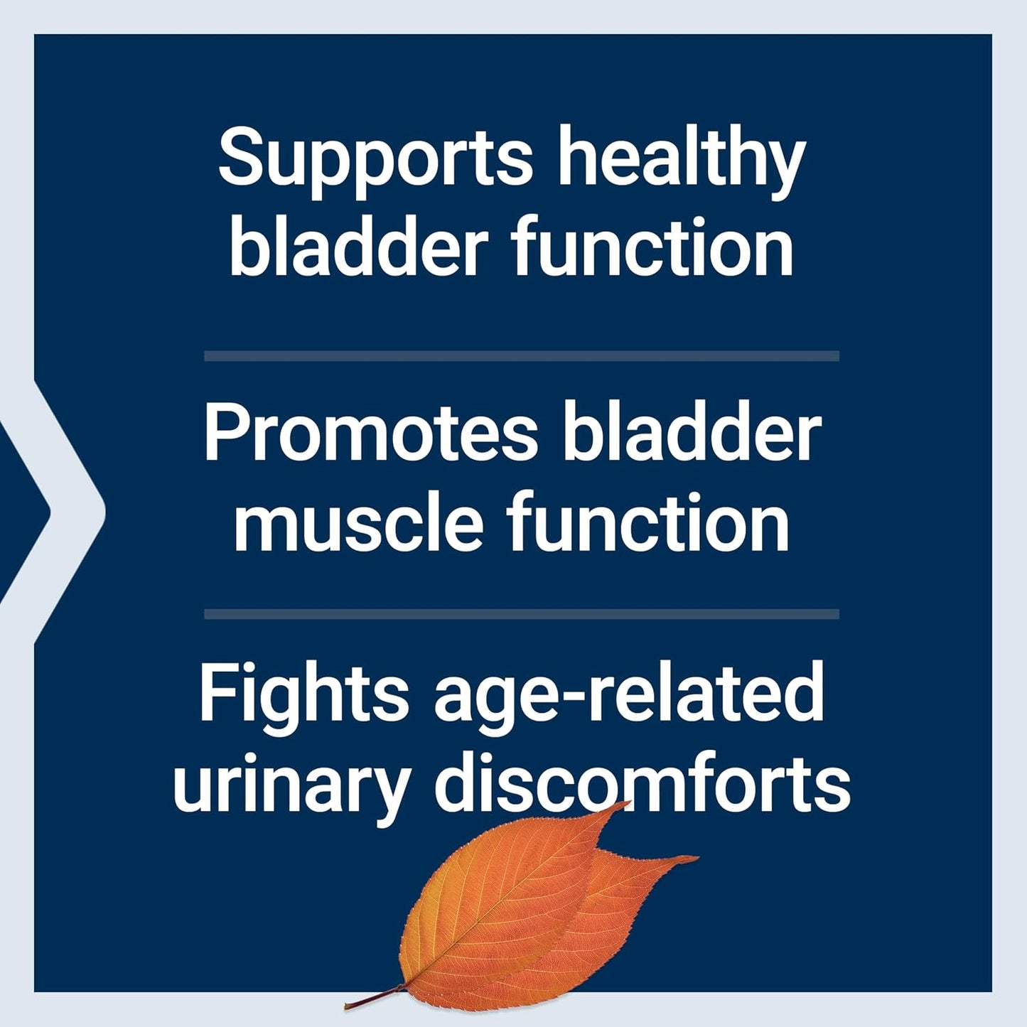 Life Extension Water-Soluble Pumpkin Seed Extract, Promotes Prostate & Urinary Tract Health, Bladder Health Support, Men, Women, Gluten-Free, Non-GMO, Vegetarian, 60 Capsules | Promotes Prostate & Urinary Tract Health, Supports Bladder Health for Men & Wo