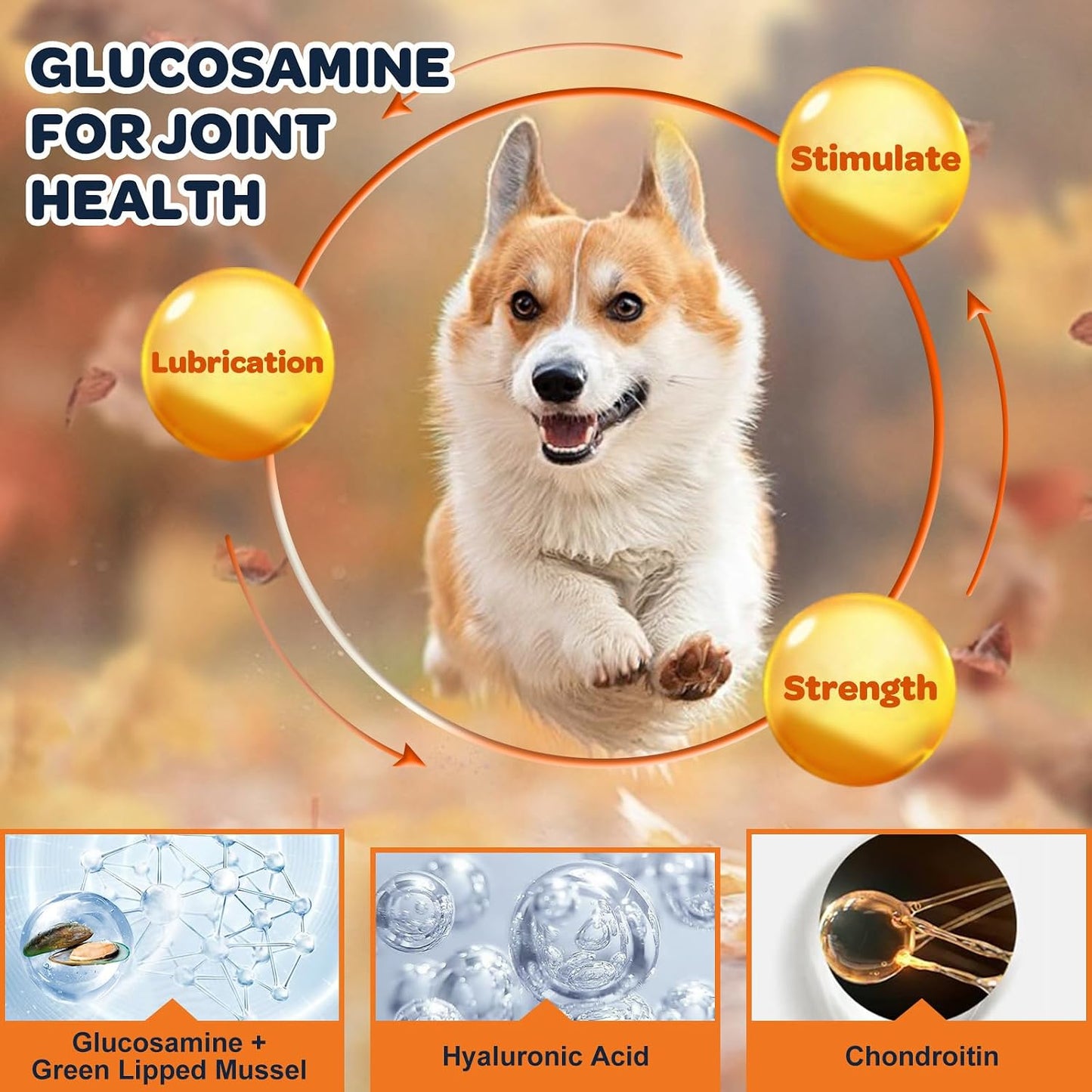 NATURE TARGET Glucosamine for Dogs, Hip and Joint Supplement, 120 Bites | Freeze-Dried Crunchy Chews, Chicken Flavored Mobility Treats, Chondroitin, MSM, Omega-3, Ideal for Senior, Large & Active Dog