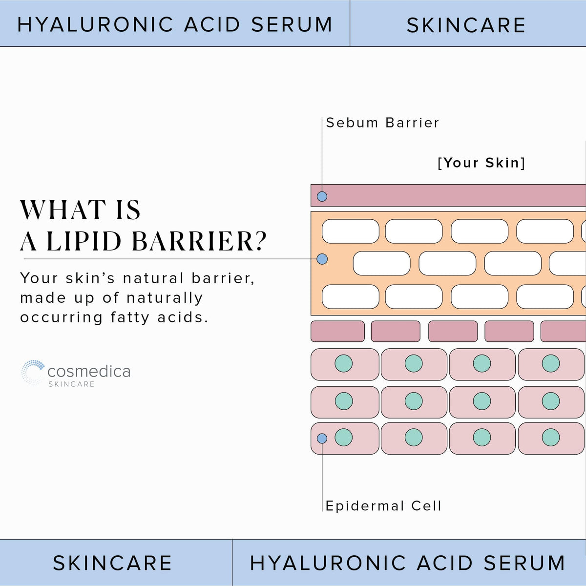 Hyaluronic Acid Serum for Skin 100% Pure Anti Aging Serum Intense Hydration