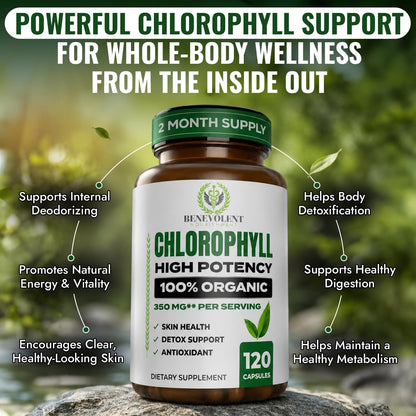 Chlorophyll Capsules 350mg – High Potency Sodium Copper Chlorophyllin Supplement for Internal Freshness, Detox, Digestion, Immune & Skin Health – Easy to Swallow – Made in USA – 120 Vegan Cap