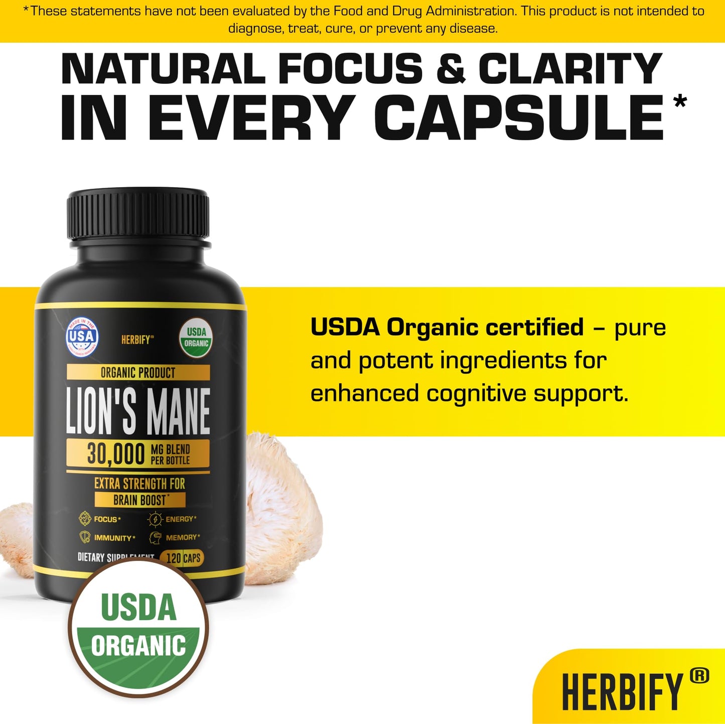HERBIFY Lions Mane Supplement - Daily Mushroom Supplement for Memory, Focus & Clarity - Brain Booster - Lions Mane Tincture for Immune Support - 4 Fl oz