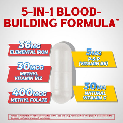 Iron Supplement for Women & Men, with Vitamins C, B6, B12 & Folate | for Iron Deficiency, Blood Building & Energy Support, Stomach Friendly, Better Absorption, Non-GMO, No Gluten, 60 Vegan Caps