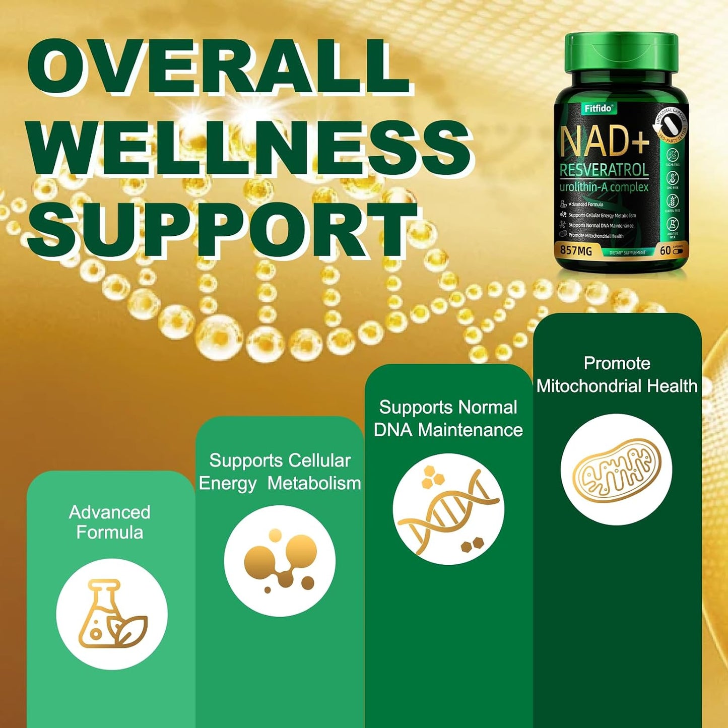 Liposomal NAD+ Resveratrol 400mg with Urolithin A, 60 Capsules | Enhanced Absorption with Urolithin-A & CoQ10, Supports Cellular Energy & DNA Maintenance, Non-GMO, Gluten Free