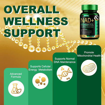 Liposomal NAD+ Resveratrol 400mg with Urolithin A, 60 Capsules | Enhanced Absorption with Urolithin-A & CoQ10, Supports Cellular Energy & DNA Maintenance, Non-GMO, Gluten Free