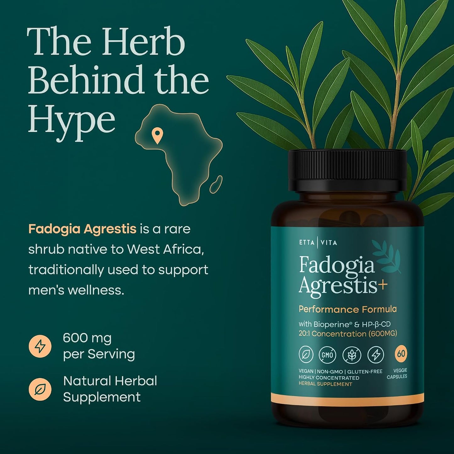 Fadogia Agrestis 600mg Supplement for Men, Energy, Drive & Stamina Support | Concentrated herbal extract for energy, muscle & workout recovery, vegan, non-GMO, gluten free, made in USA
