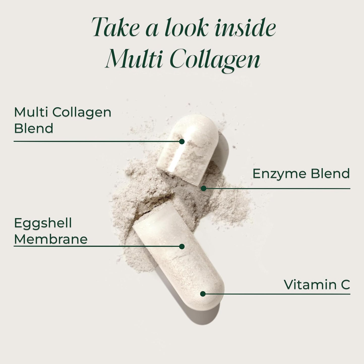 Primal Harvest Multi Collagen - Daily Supplement, Dairy & Gluten Free
