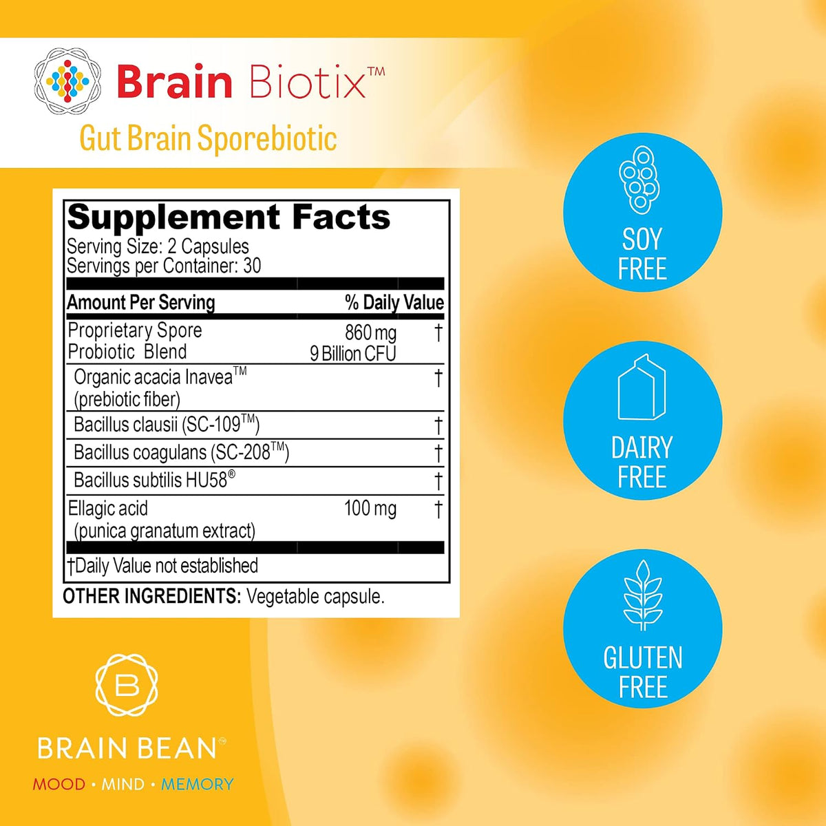 Brain Bean Brain Biotix | Gut and Brain Spore-Based Probiotic and Prebiotic | 30 Servings