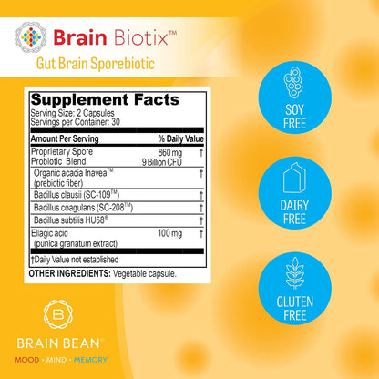 Brain Bean Brain Biotix | Gut and Brain Spore-Based Probiotic and Prebiotic | 30 Servings