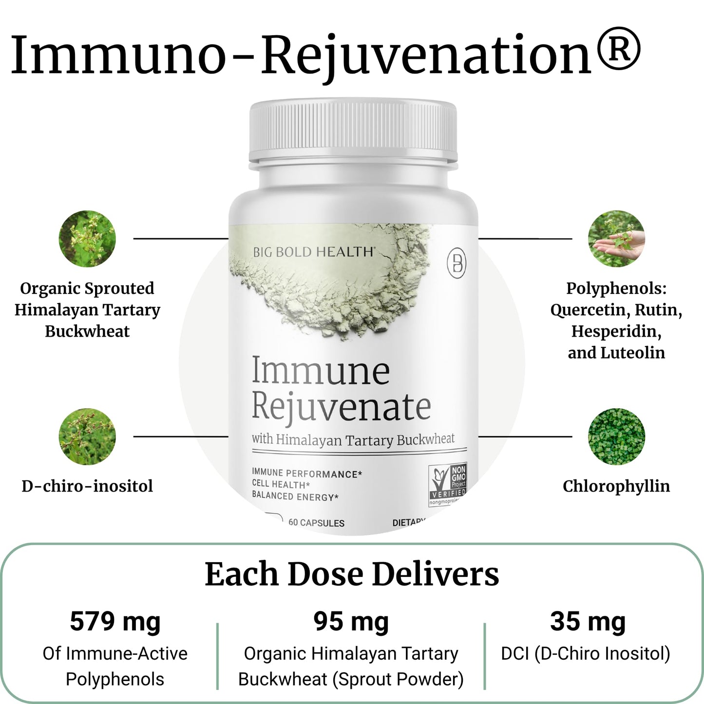 BIG BOLD HEALTH HTB Immune Rejuvenate - Himalayan Tartary Buckwheat - Polyphenols Supplement for Immune Support - Gluten Free, Dairy Free, Non-GMO Formula - 120 Vegetarian Capsules (2 Month Supply)