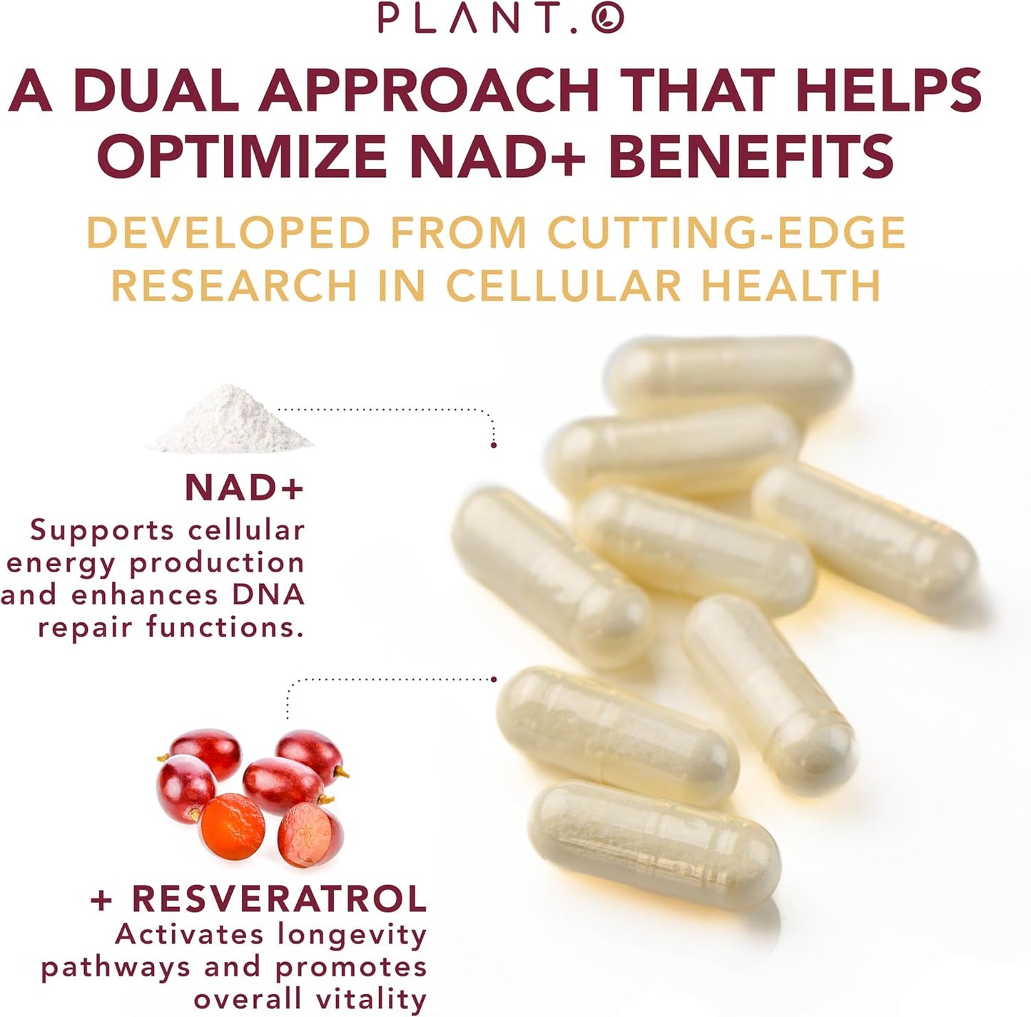 NAD Supplement High Purity (500mg of 95% Pure NAD Plus) with Resveratrol - NMN and Nicotinamide Riboside Alternative for Energy, Anti-Aging, Cell Regeneration, Focus – 60 Pills