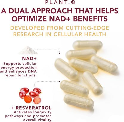 NAD Supplement High Purity (500mg of 95% Pure NAD Plus) with Resveratrol - NMN and Nicotinamide Riboside Alternative for Energy, Anti-Aging, Cell Regeneration, Focus – 60 Pills