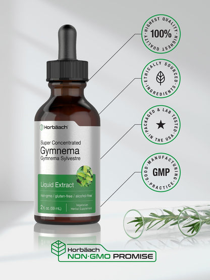Gymnema Sylvestre Liquid | 2 fl oz | Alcohol Free Supplement | Super Concentrated
