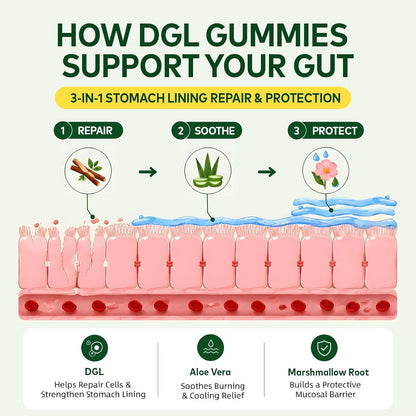 DGL Gummies - Deglycyrrhizinated Licorice Supplement for Stomach Relief & Digestive Comfort - with Aloe Vera & Marshmallow Root - Sugar Free, 60 Chewable Gummies