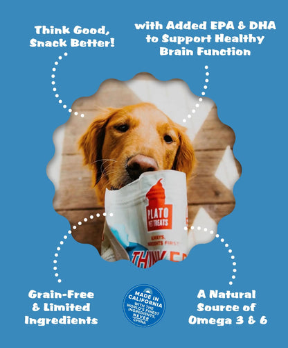Plato Pet Treats Thinkers - Meat Stick Treats for Dogs - Limited Ingredient with EPA and DHA to Support Skin, Coat, and Brain - Air-Dried - Thinkers Salmon 10oz - 2 Pack
