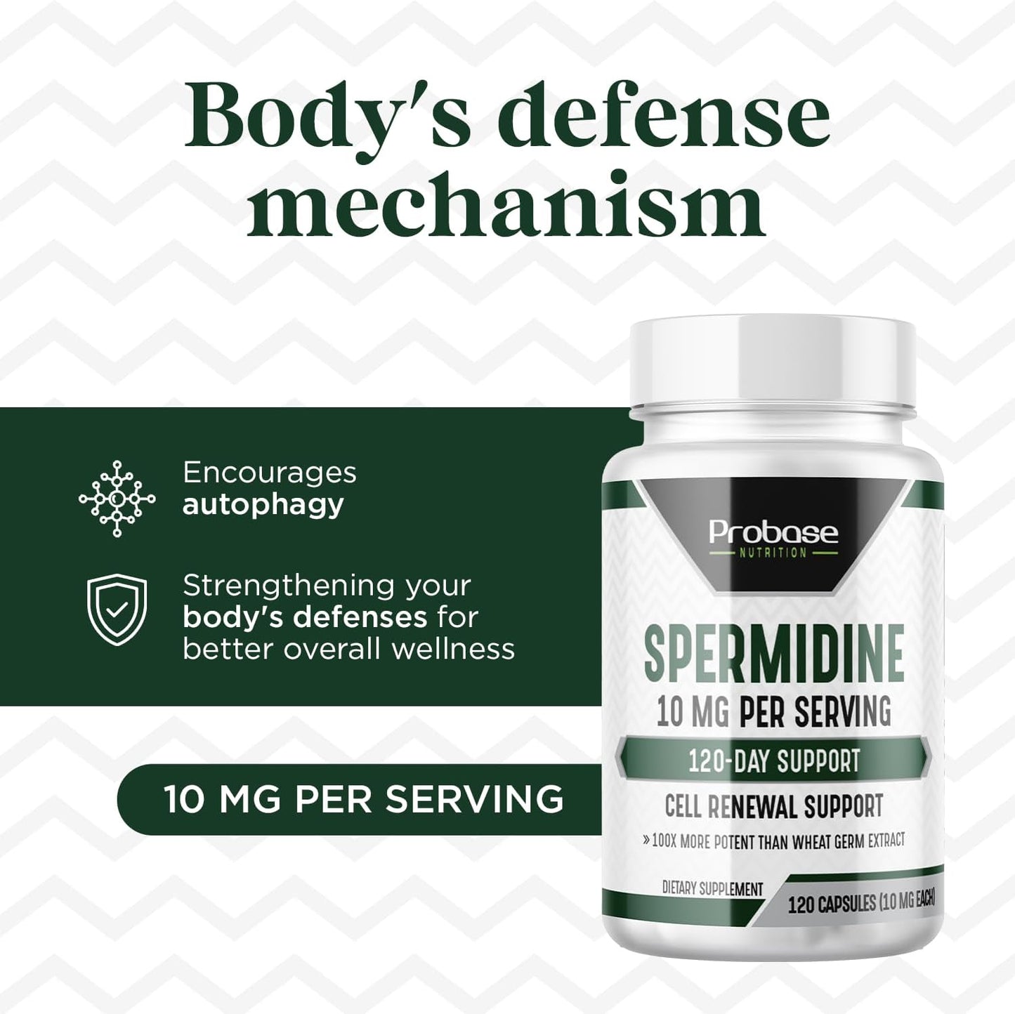 Probase Nutrition Spermidine (10mg of 99% Spermidine 3HCL - Third Party Tested) 120 Capsules - 100x More Potent Than Wheat Germ Extract, Telomere Health and Aging 120-Day Supply - As efficient as NMN