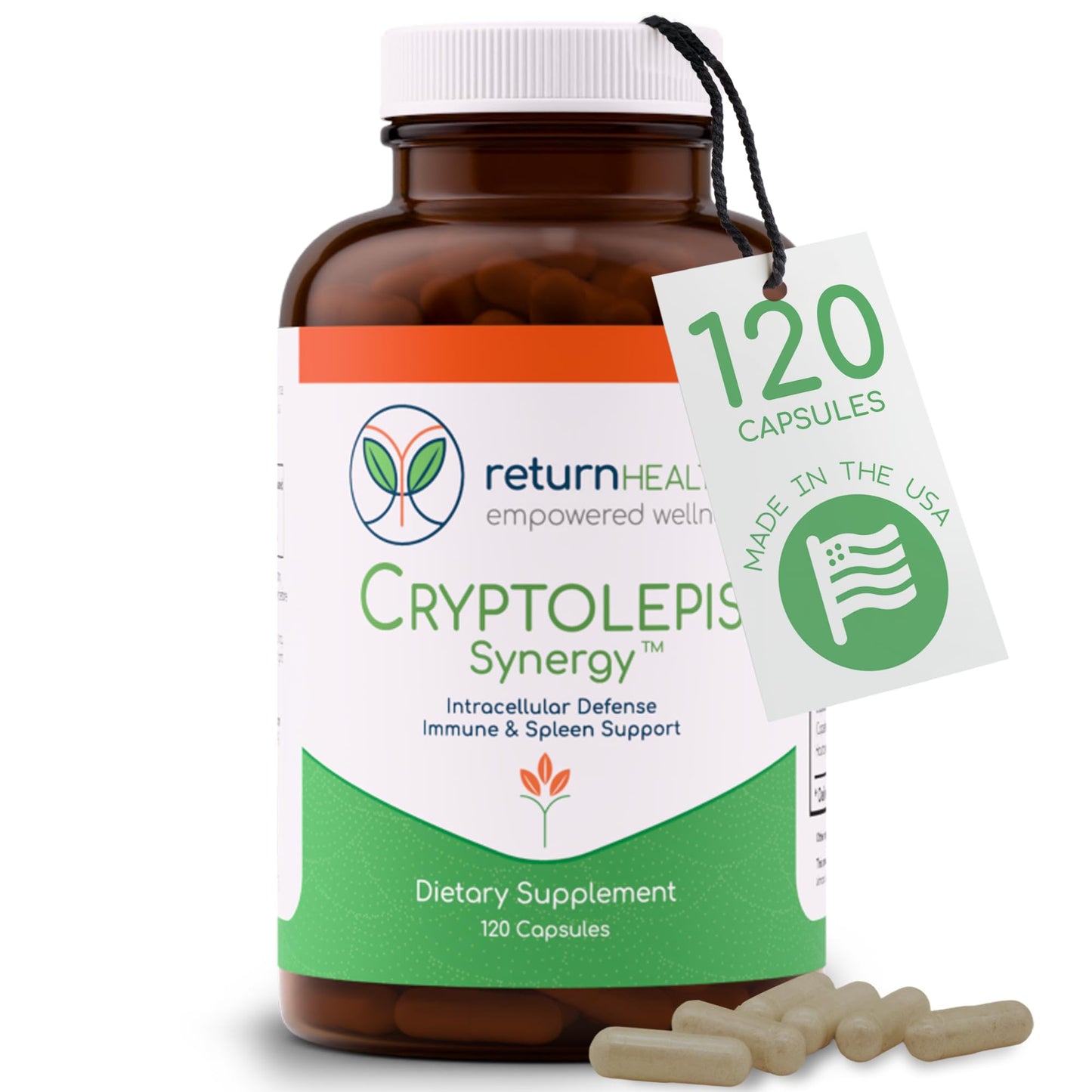 Cryptolepis Synergy, Immune Support Vitamins, Immune System Booster for Adults, Liver, Lymphatic, & Immune Support Supplement, Supports Lyme & Natural Parasite Defense, 120 Capsules