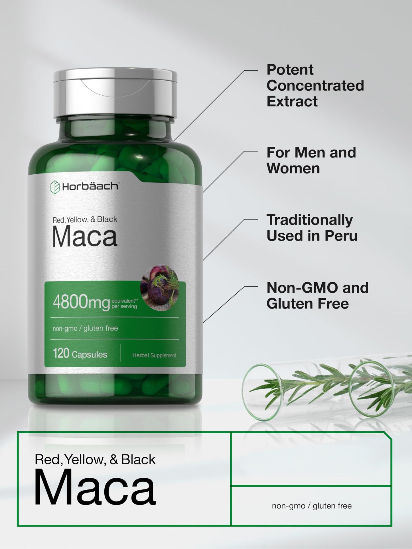 Horbäach Maca Root Capsules for Men and Women | 120 Pills | High Potency Extract | Non-GMO and Gluten Free Formula