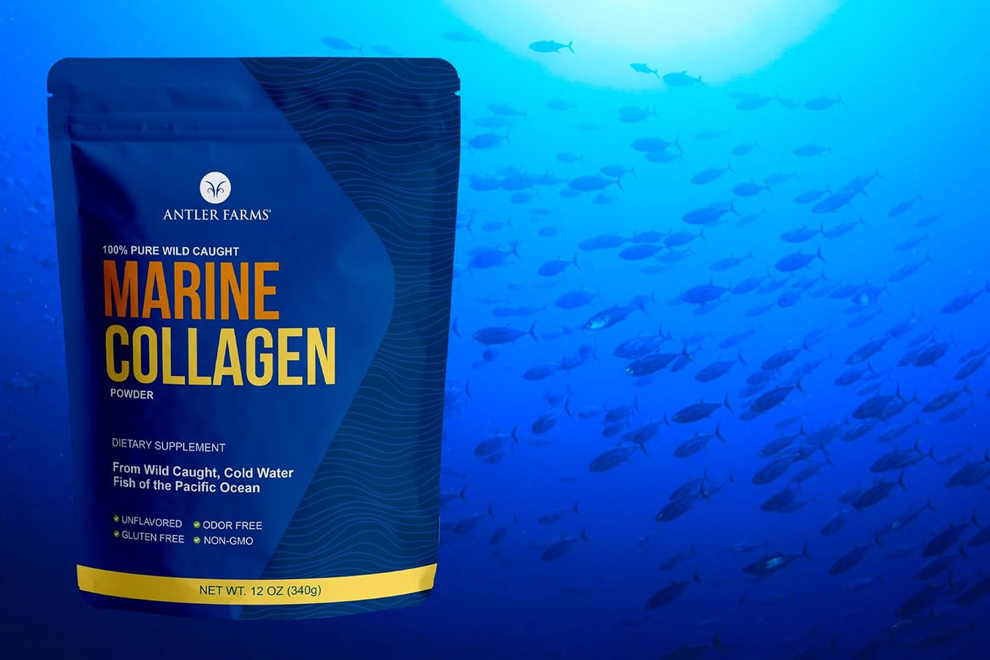 Antler Farms Marine Collagen Powder - Wild Caught Pacific Snapper, 12 oz | 100% Pure, Soluble in Hot or Cold Liquids, Highly Bioavailable, Rapid Absorption, No Taste or Smell