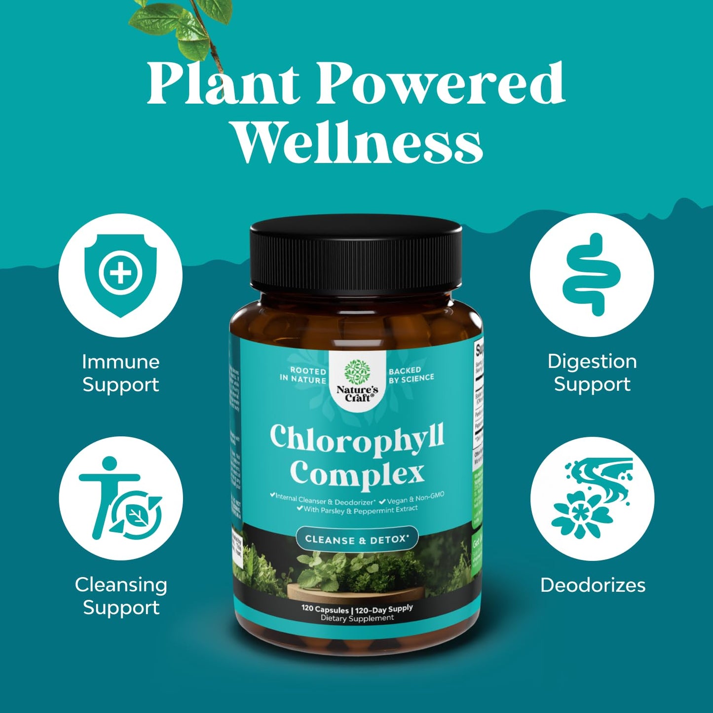 Chlorophyll Capsules for Cleanse and Detox Support - Internal Deodorant Pills for Body Odor with Mint & Parsley Extract Healthy Skin Immunity & Digestive Support - Vegan Non-GMO & Gluten Free (60ct)