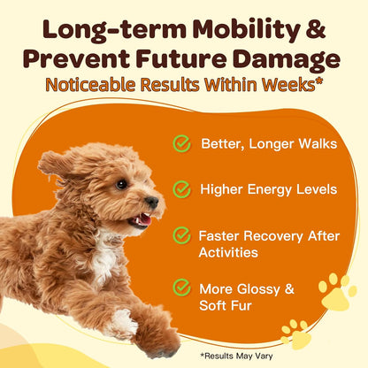 NATURE TARGET Glucosamine for Dogs Powder, Hip & Joint Supplement, 9.52 oz | With Chondroitin, MSM, Turmeric & Omega 3, Supports Hip & Joint Mobility, Joint Pain Relief, for Small, Medium & Large Breeds