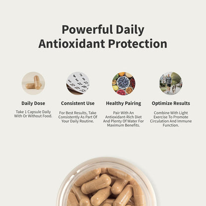 Snap Supplements Olive Leaf Extract with Oleuropein, 60 Capsules | Standardized to 40% Oleuropein, Antioxidant-Rich, Supports Blood Flow & Healthy Digestion