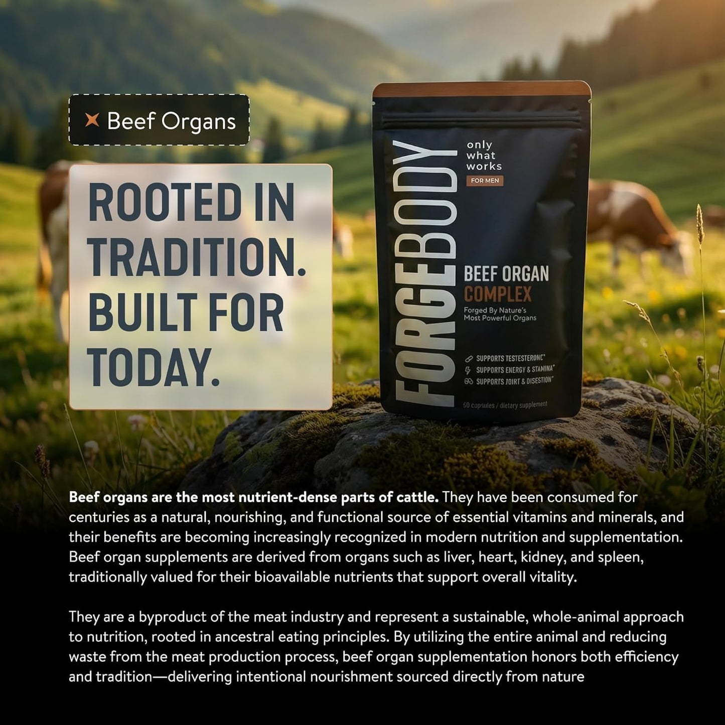 Forgebody Beef Liver & Organ Complex, Grass-Fed 5-Organ Supplement, 1 Month | Grass-fed beef liver, heart, bone marrow, pancreas, testicles, freeze-dried, non-GMO, ancestral nose-to-tail nutrition